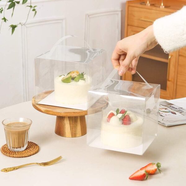 Mini Transparent Cake Box